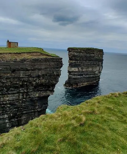 Ferry View ベルマレット