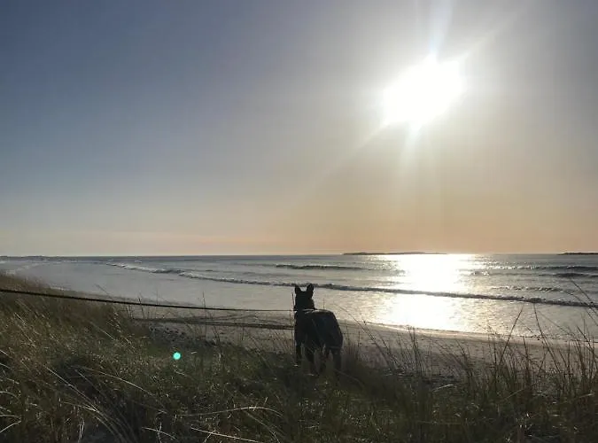 Ferry View ベルマレット