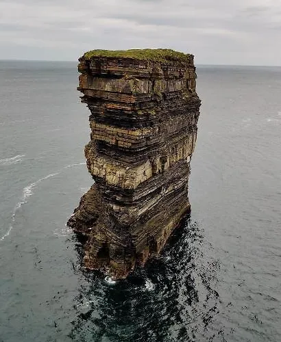 Ferry View ベルマレット